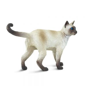 SIAMESE
