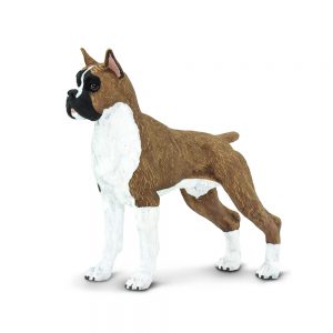 BOXER