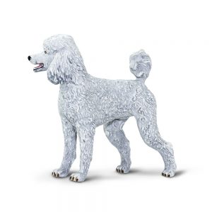 POODLE