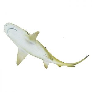 LEMON SHARK