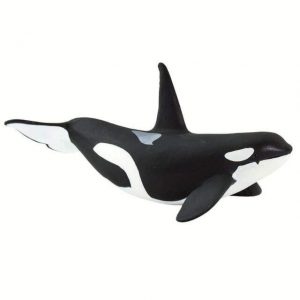 ORCA | NEW
