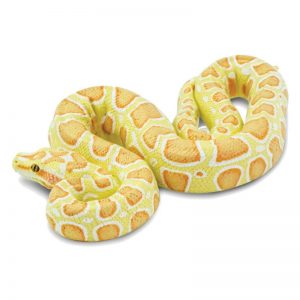 ALBINO BURMESE PYTHON | NEW