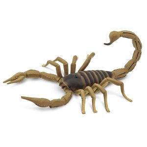 SCORPION