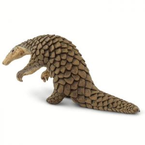 PANGOLIN | NEW