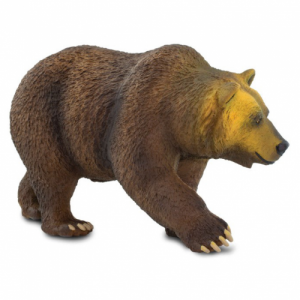 GRIZZLY BEAR | NEW