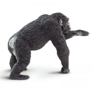CHIMPANZEE | NEW