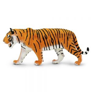 SIBERIAN TIGER