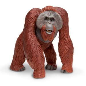 BORNEAN ORANGUTAN