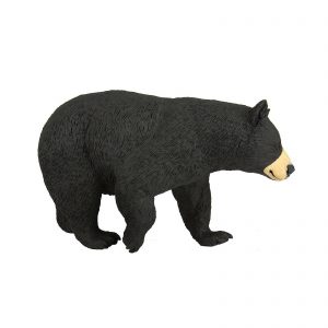 BLACK BEAR