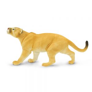 PUMA CONCOLOR