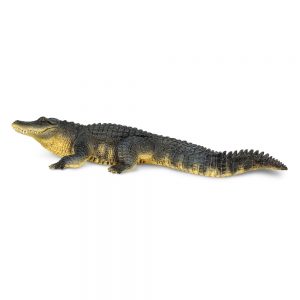 ALLIGATOR