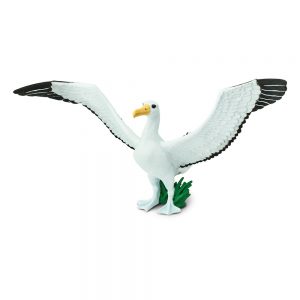 GIANT ALBATROSS