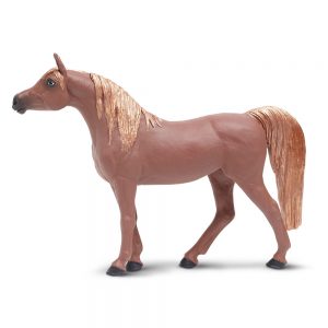 ARABIAN MARE