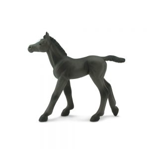 ARABIAN FOAL