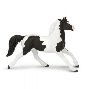 PINTO MUSTANG MARE