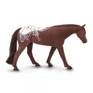 APPALOOSA MARE