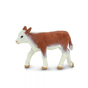 HEREFORD CALF