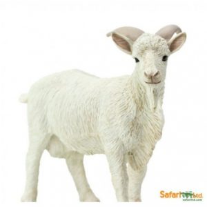BILLY GOAT