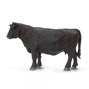 ANGUS COW