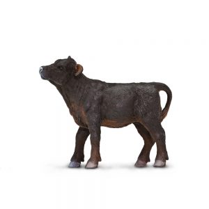 ANGUS CALF