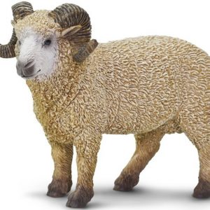 RAM