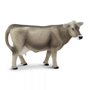 BROWN SWISS COW