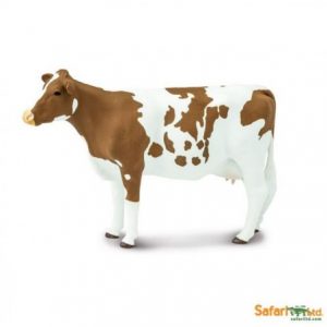 AYRSHIRE COW