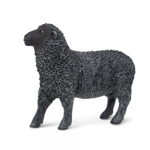 BLACK SHEEP