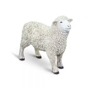 SHEEP