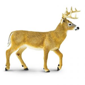 RED DEER STAG