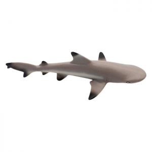 BLACKTIP REEF SHARK