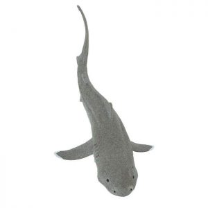 MEGAMOUTH SHARK