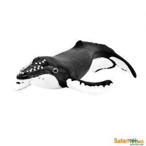 HUMPBACK WHALE