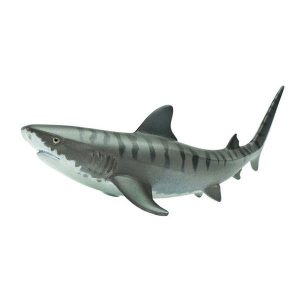 TIGER SHARK