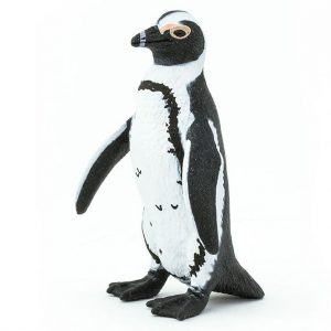 AFRICAN PENGUIN