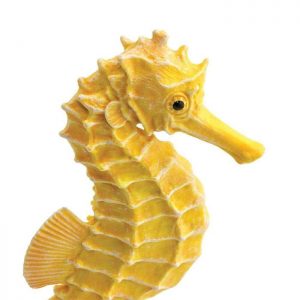 SEAHORSE