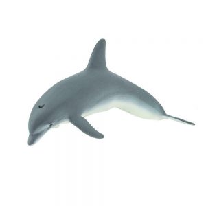 BOTTLENOSE DOLPHIN