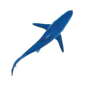 BLUE SHARK