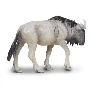 BLUE WILDEBEEST