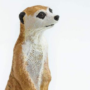 MEERKAT