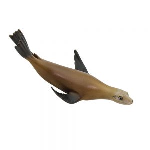 CALIFORNIA SEA LION