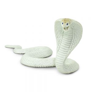 WHITE COBRA