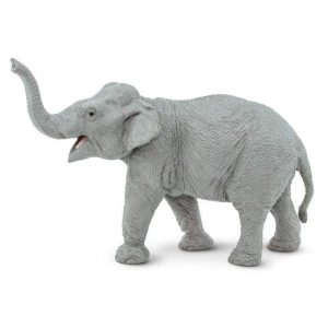 ASIAN ELEPHANT
