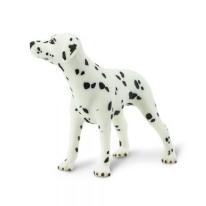 DALMATIAN