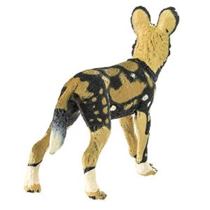 AFRICAN WILD DOG