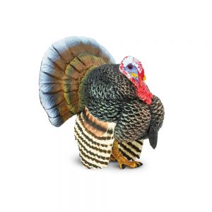 TURKEY