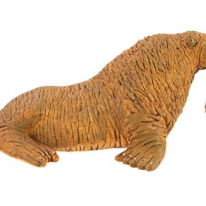 WALRUS