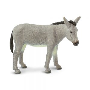 DONKEY
