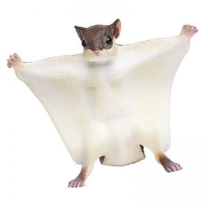 FLYING SQUIRREL