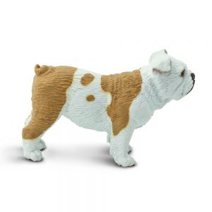 BULLDOG